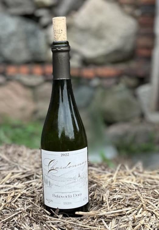 Wino, ser i obrazy Marcina