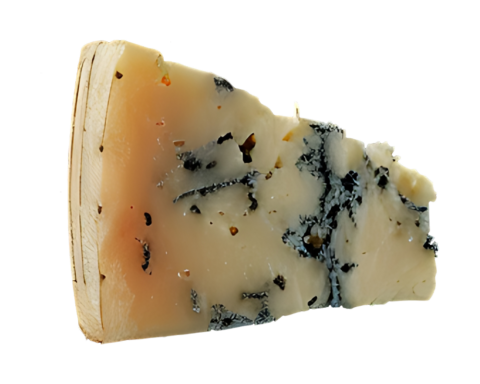 Gorgonzola